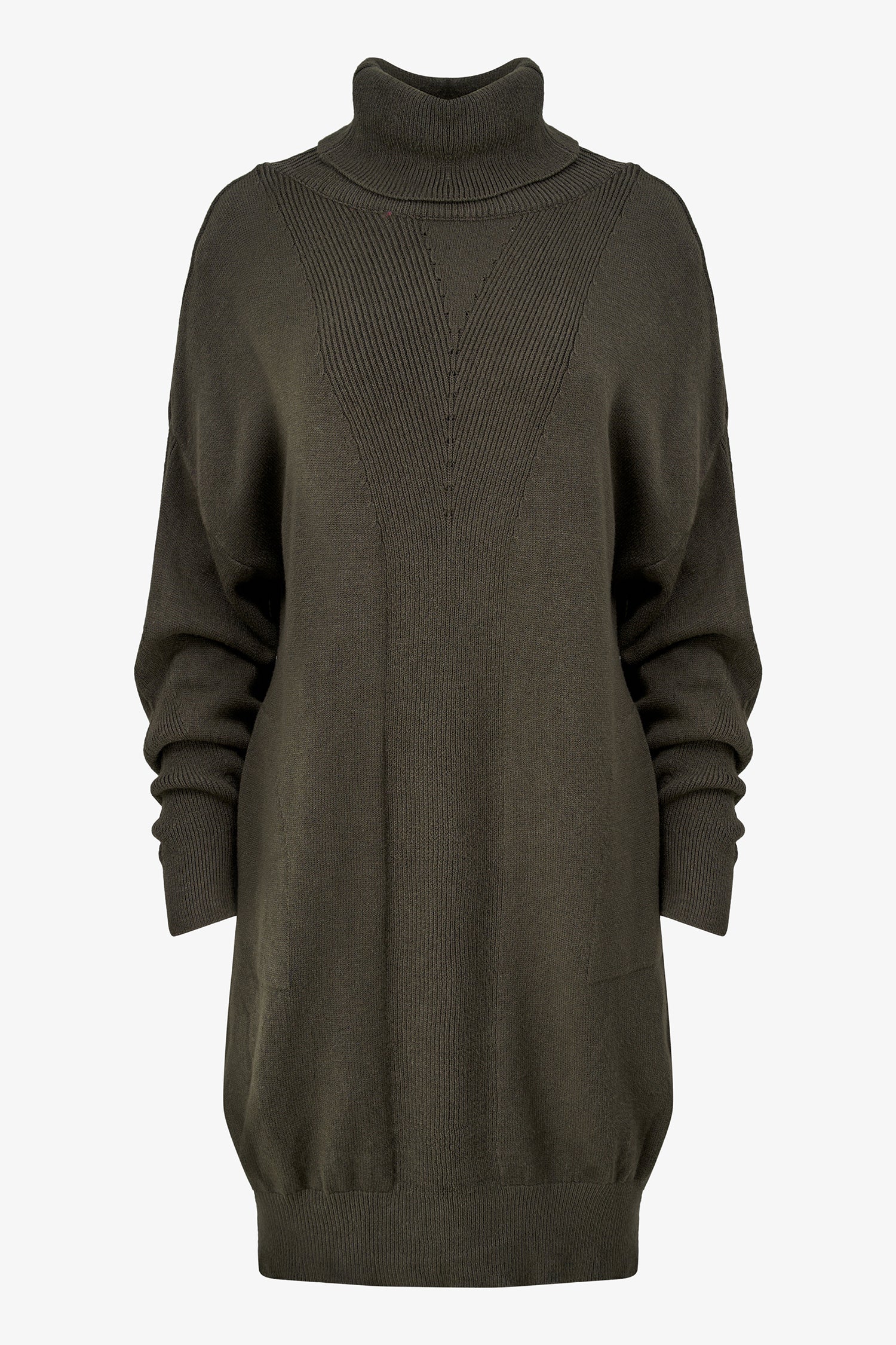 Turtleneck Knit Dress