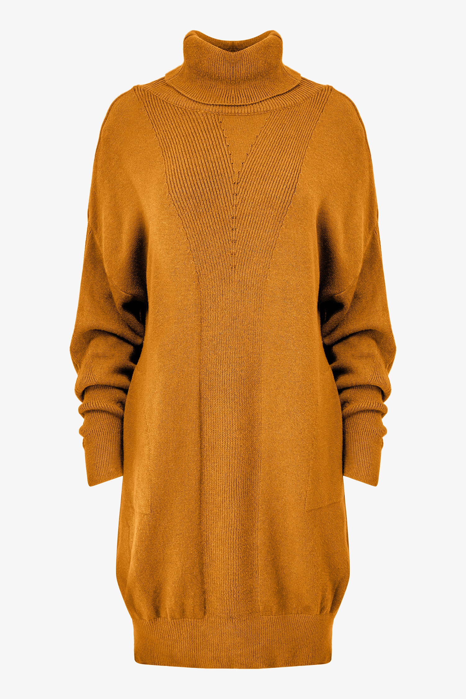 Turtleneck Knit Dress