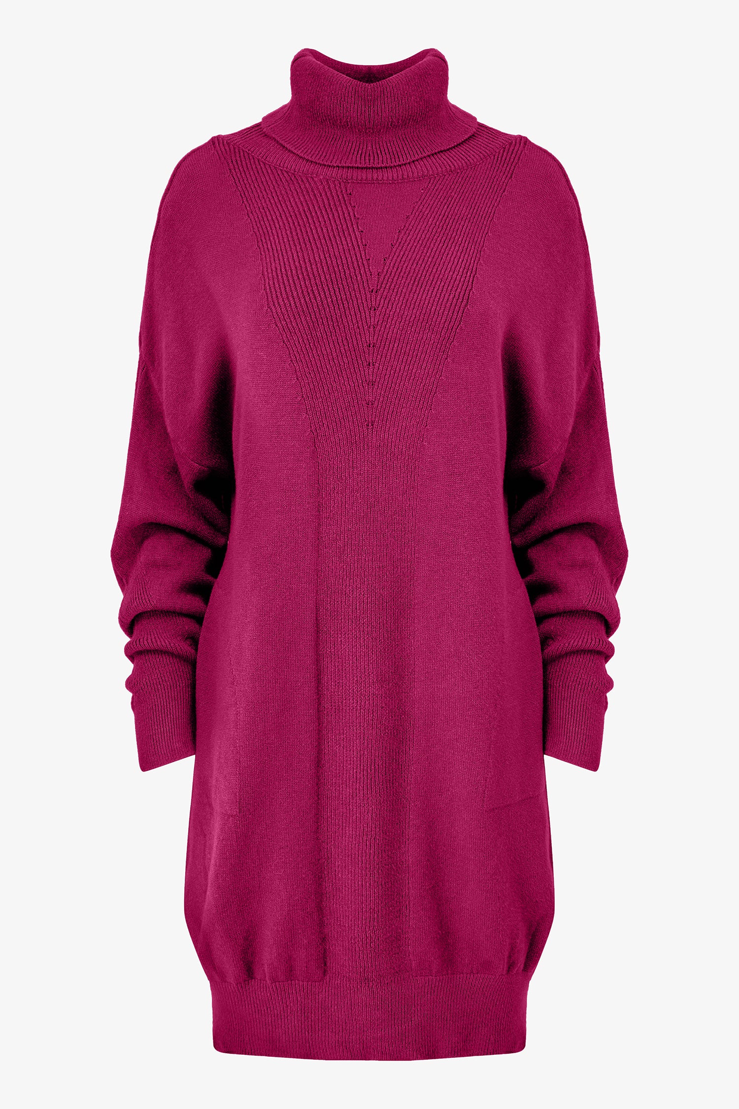 Turtleneck Knit Dress